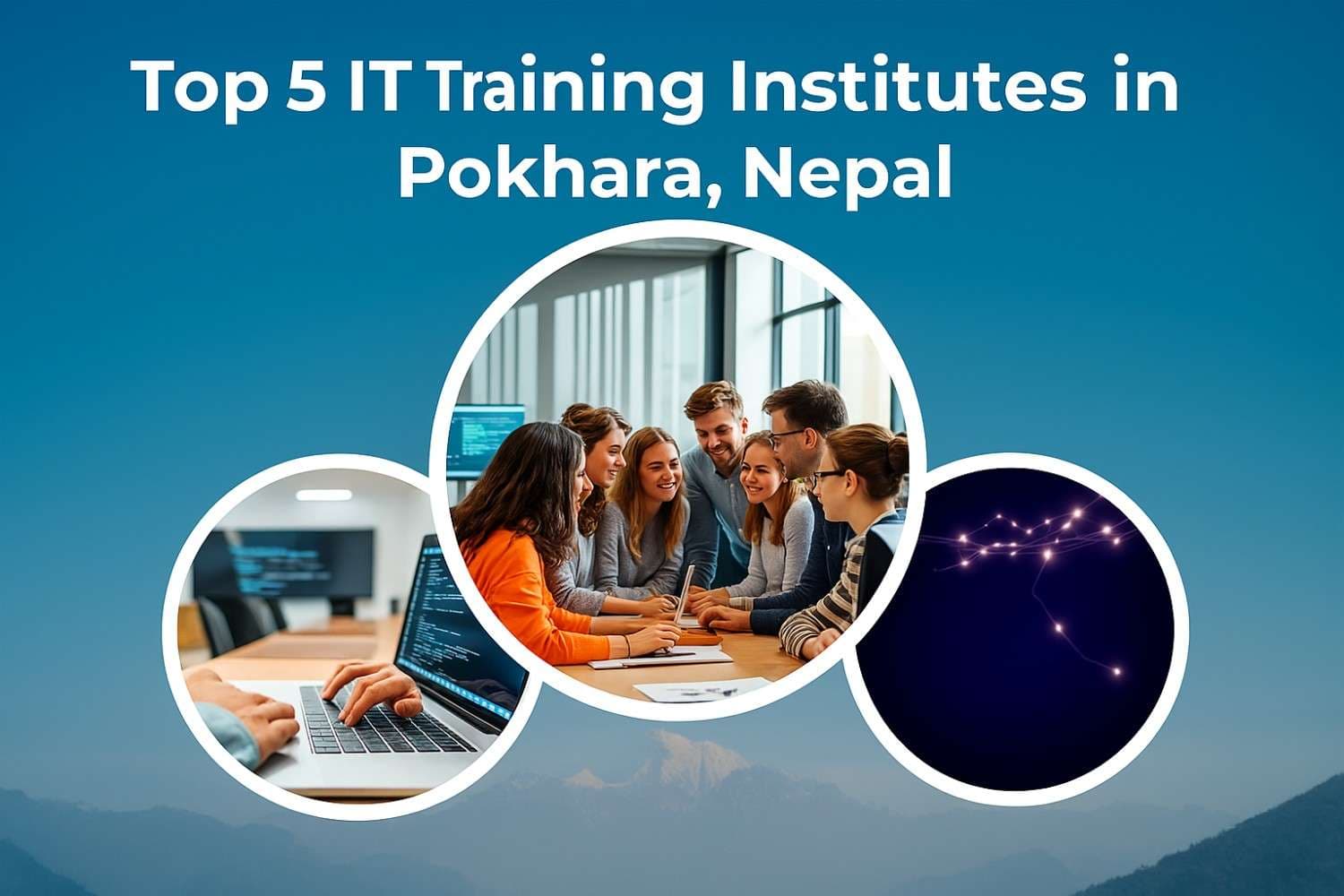 Top 50 underrated plants for house decoration