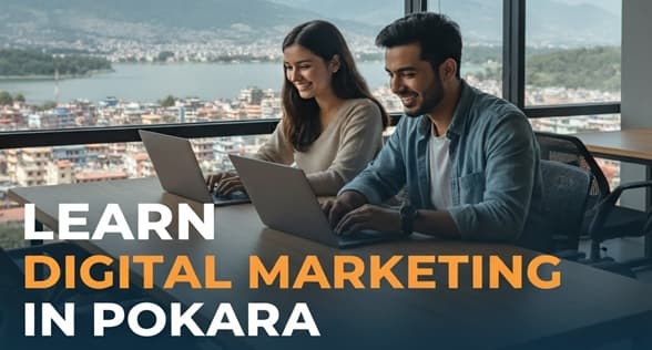 Top 50 underrated plants for house decoration